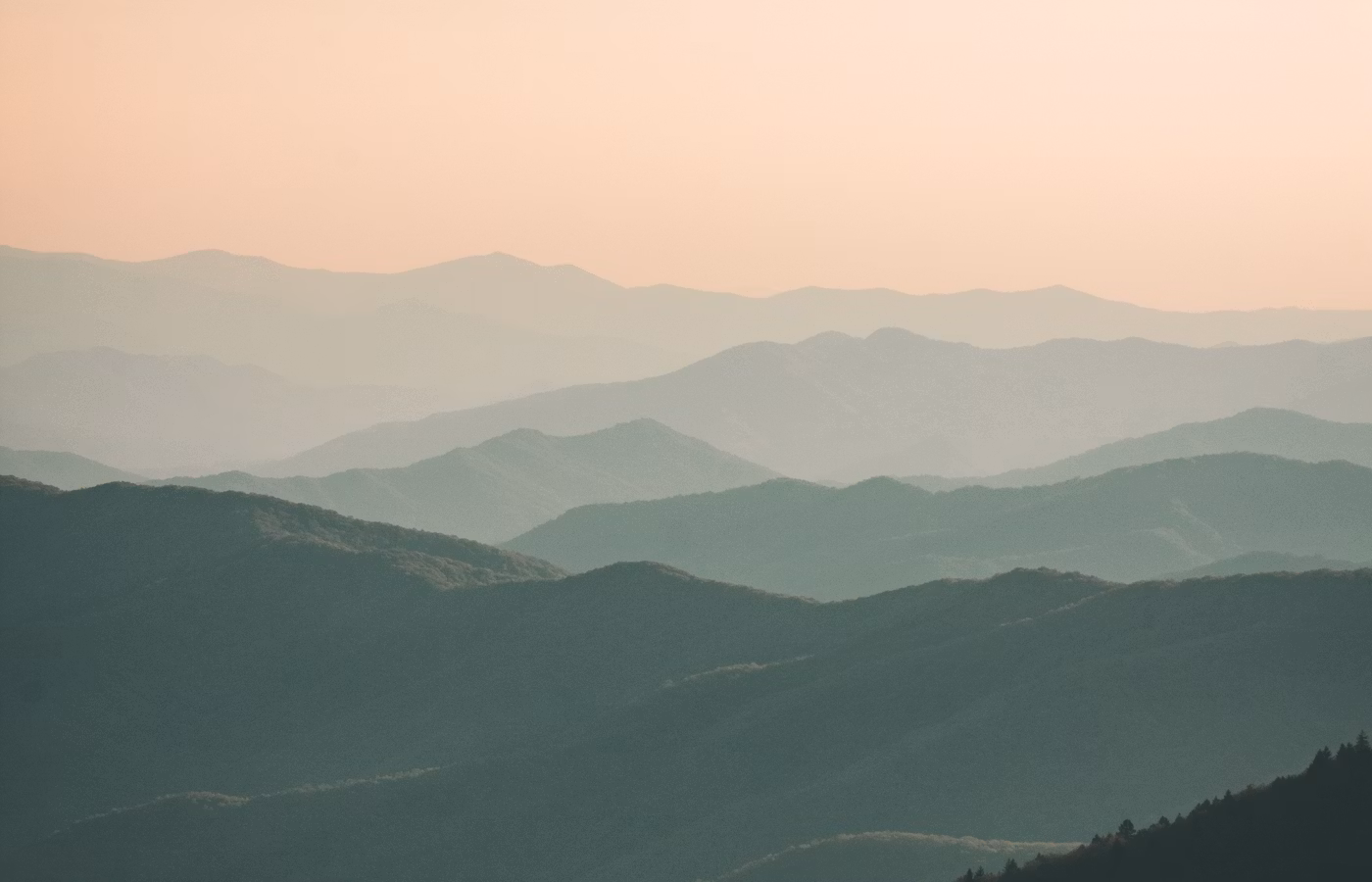 Саморегуляция для специалиста
